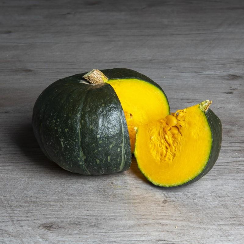 Pompoen BOL-P-5402 F1 – Cucurbita maxima